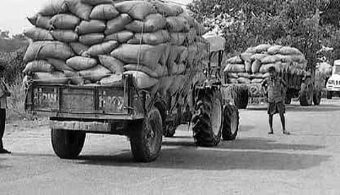 Distress sale of paddy to hit vote bank