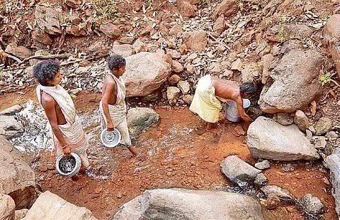 Dongria Kondh women collecting water from a creek I Express