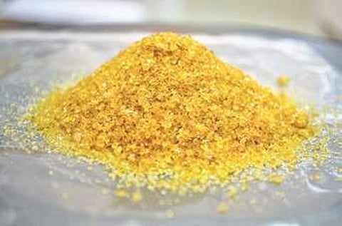 CLRI technology extracts high-grade gelatin from leather tannery waste