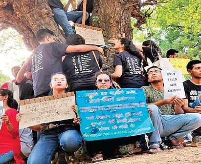 Environmental governance should be a poll issue