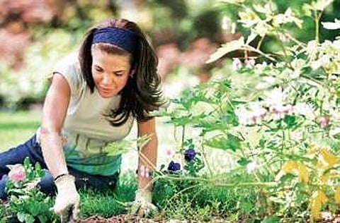 Planting seeds to understand the garden of love and relationships