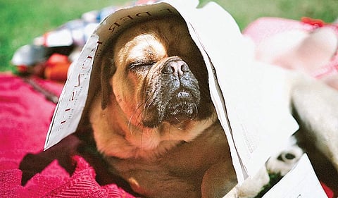 Representational Image.