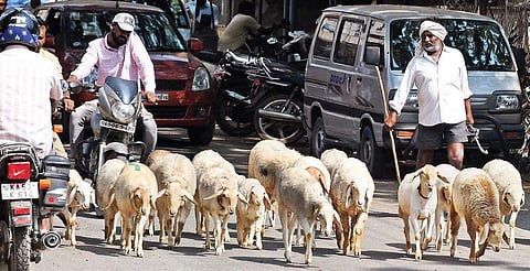While farmers are taking up other jobs, youngsters from Chikballapur are migrating to cities for a better future | Pushkar v