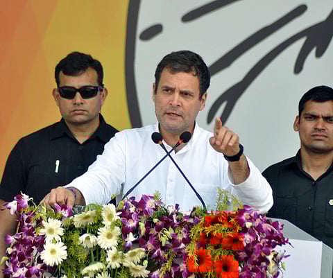 Rahul has been thrice elected the member of parliament from Amethi, considered the Congress bastion in 2004, 2009 and 2014. (File photo | PTI)