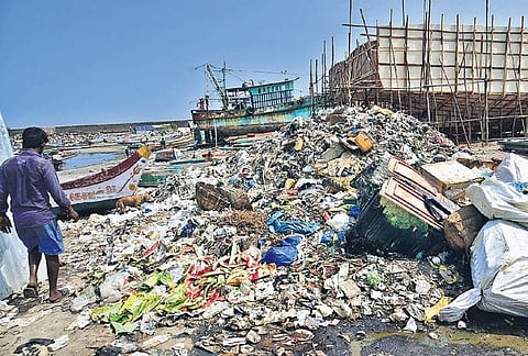 Uncleared garbage at the old fish market in Kasimedu | P Jawahar