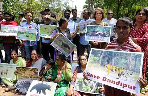 Wildlife activists protesting against the proposed elevated corridor project in Bandipur (File Photo | EPS)
