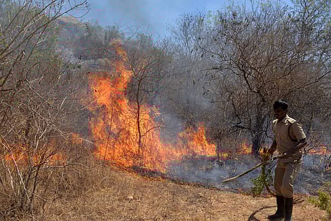 Fire at the Bandipur National Park (File Photo | EPS)