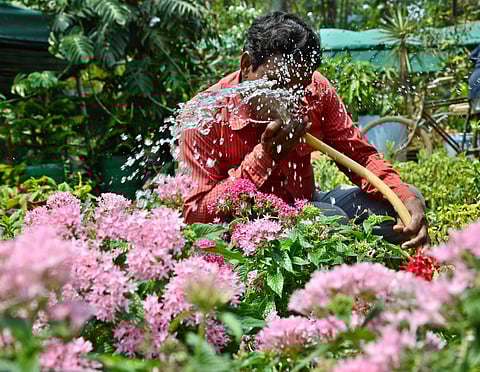 Image used for representational purpose only (File Photo | Biswanath Swain/EPS)