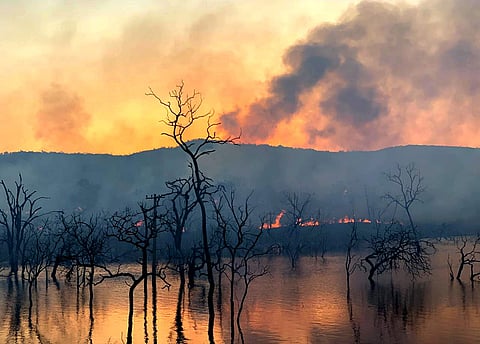 Image used for representational purpose (File Photo | Madhav K/EPS)