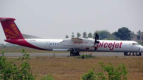 For representational purposes (File | EPS)