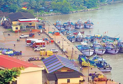 Fishing boats docked at the Bhatkal port in Uttara Kannada | D Hemanth
