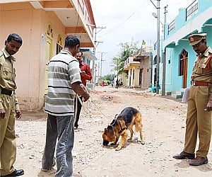 Representational imageo of a sniffer dog squad. (File Photo)