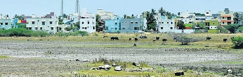 Houses been encroached on the Mudichur lake (Photo|Ashwin Prasath)