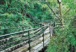 Thenmala Eco-tourism Promotion Society (Photo| Thenmala Eco-tourism website)