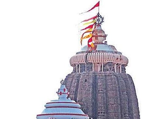 Puri temple should be managed by seer: Swami Nischalananda Saraswati