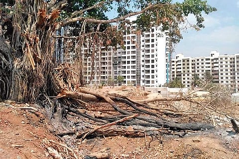 Residents suspected the role of Bangalore Development Authority behind this act, but the officials concerned denied their involvement