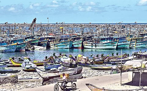 Boats lined up at the Kasimedu fishing harbour in Chennai during a fishing ban in effect. (File | EPS)
