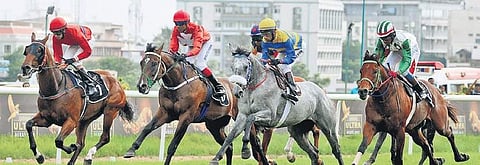 The tax is affecting all stakeholders, from the management to racers to horse breeders