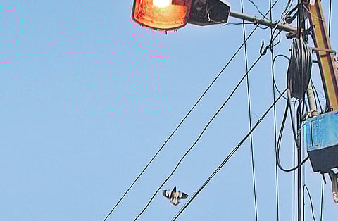 Image used for representational purpose only