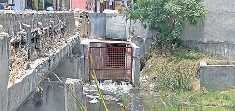 Storm water drains proposed by the government directs rainwater into the sea, whereas recharge wells (right) can help harvest it. | Martin Louis
