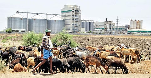 As industrialisation is yet to pick up in the constituency after the closure of textile industries, labourers are migrating to other cities in search of employment | Shimoga Nandan