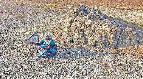 A woman sitting on the dry bed of the Puzhal Lake near Kallikuppam | Martin louis