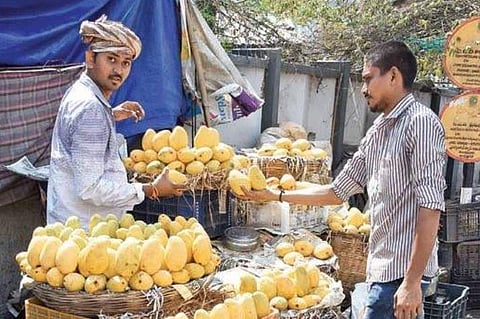 Mangoes arrive at Nunna wholesale fruit market in Vijayawada | R V K Rao