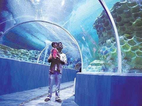 VGP Marine Kingdom is located adjacent to VGP Universal Kingdom on East Coast Road (ECR) Debadatta Mallick