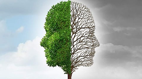 Image used for representation for Earth Day. (Photo | Twitter)