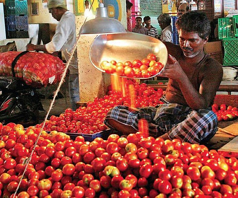 Koyambedu receives only 40 truckloads of tomatoes Ashwin Prasath
