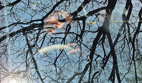 A driver takes a nap under a tree on a hot summer day in Hyderabad on Friday | S SENBAGAPANDIYAN