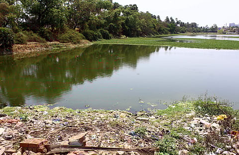 The medium-sized lakes at Medavakkam are being misused by residents; government continues to neglect. (Photo | Nakshatra Krishnamoorth, EPS)