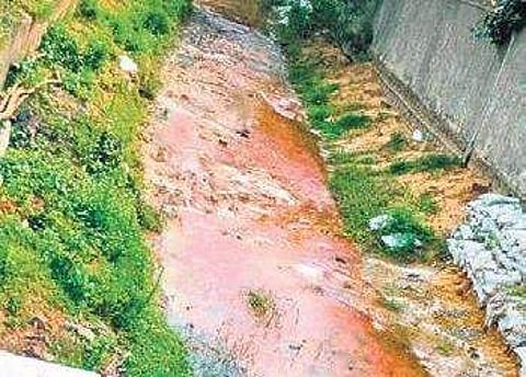 Eeachankadu canal carrying industrial effluents| FILE PHOTO