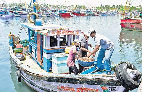 Fishermen in the constituency complain that their community has been ignored by all political parties | Rajesh Shetty Ballalbagh