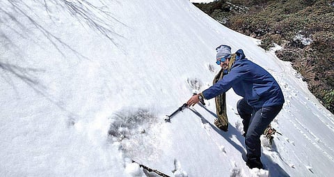 The footprint being analyzed by a team member | Express