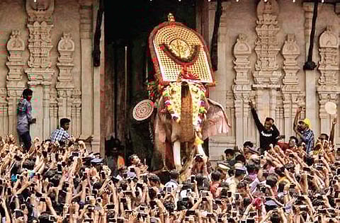 Parading the tusker at Pooram: Government to seek legal opinion, decision today
