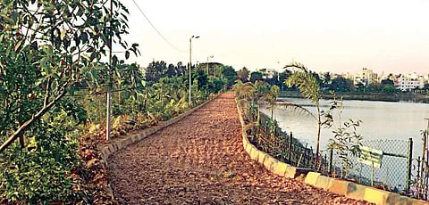 The new park being constructed near the lake in Mahadevapura zone