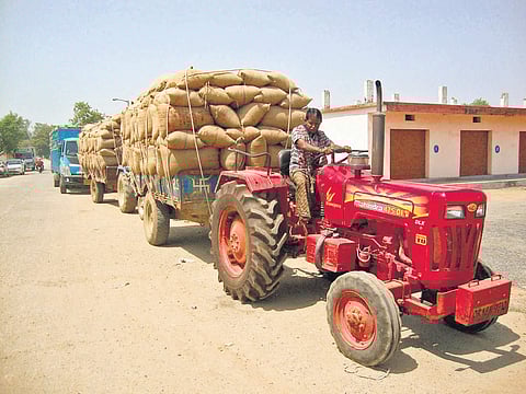 Paddy procurement delay worries farmers