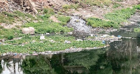 Image used for representational purpose only (Photo | RVK Rao/EPS)