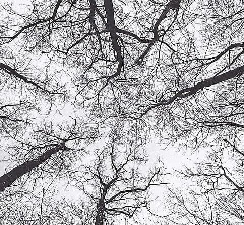 Photo by Markus Spiske on Unsplash