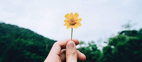 Photo by Kawin Harasai on Unsplash