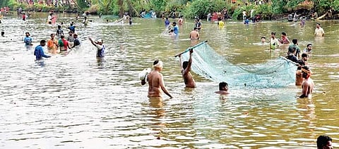 People participate in the fishing festival organised as part of Dharmarasu Shree Ullaya temple festival, on Wednesday (Photo| Rajesh Shetty Ballalbagh/EPS)