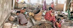 Labourers working in cashew factories in Palasa of Srikakulam district | EXPRESS