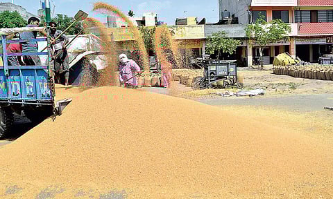 Farmers offload their produce at a market in Amritsar. (File | EPS)