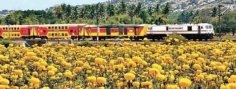 Mumbai Diary: Glimpses of a 100-year-old adventure