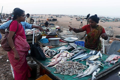 Vendors busy selling fish at Nochikuppam. (Photo | Pooja Shruthy M, EPS)