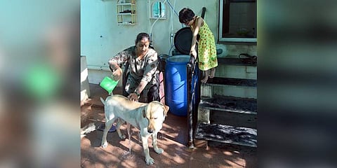 A resident of Velachery, Geetha washes her dog once a week with RO reject water (Photo|Martin Louis/EPS)