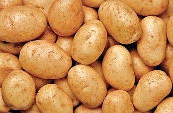 What do broccoli and potato have in common?