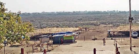 Parched Godavari river in the temple town of Dharmapuri | Express