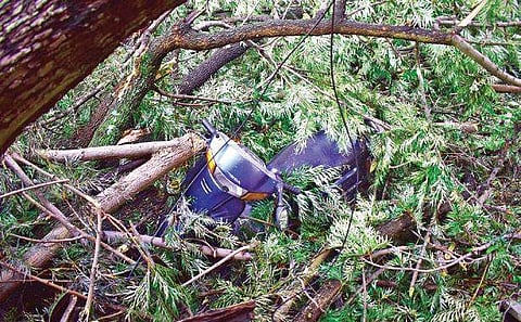 Weekend thunderstorms saw several trees and electricity polls uprooted in Bengaluru | Pandarinath B